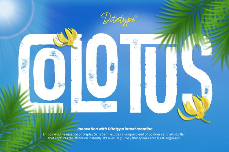 Colotus Font