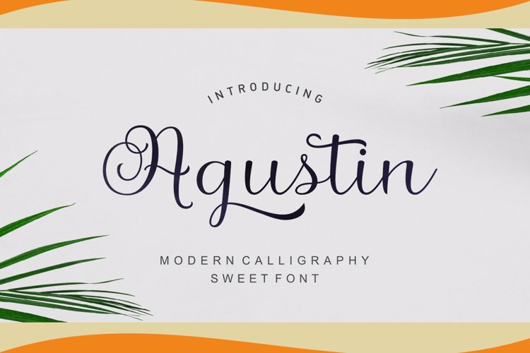 Agustin Script Font