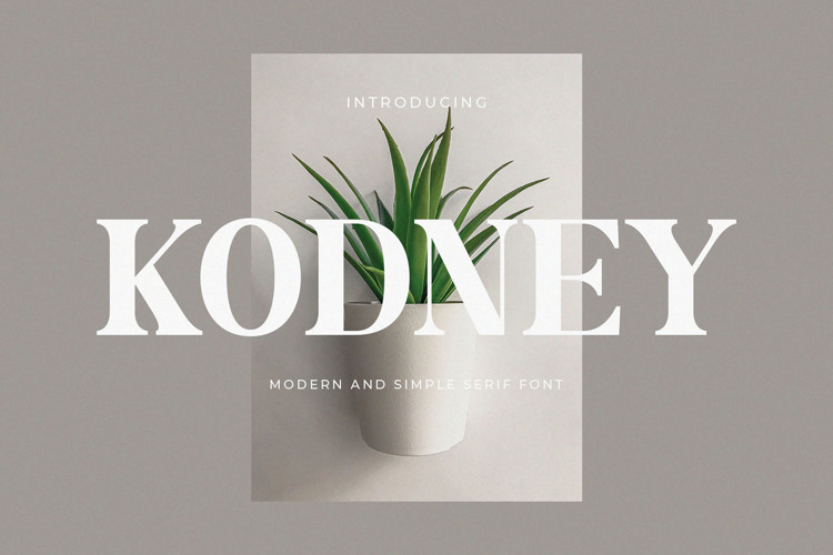 Preview of Kodney Font