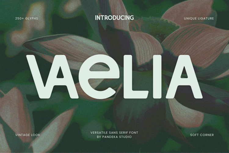 Preview of Vaelia Font