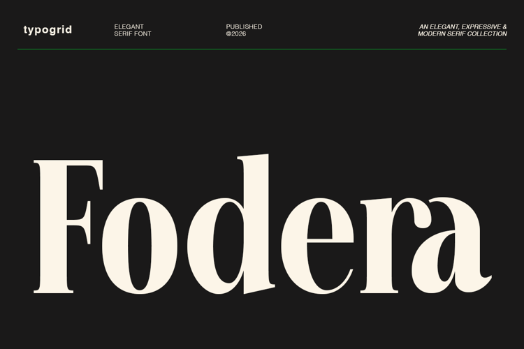 Preview of TG Fodera Font