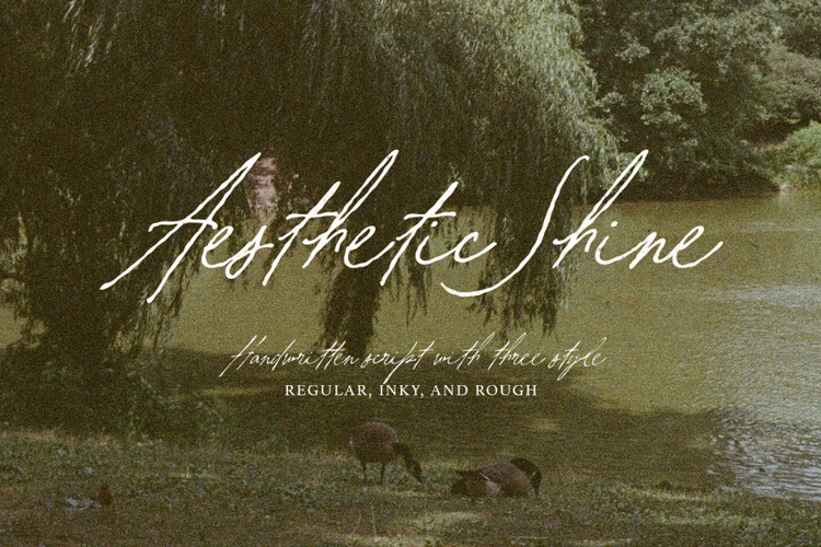 Preview of Aesthetic Shine Font