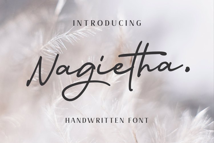Nagietha Font