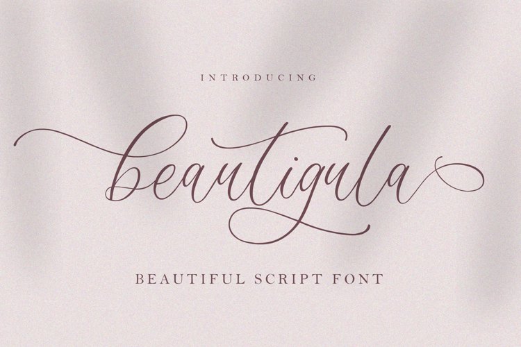 Beautigula Font