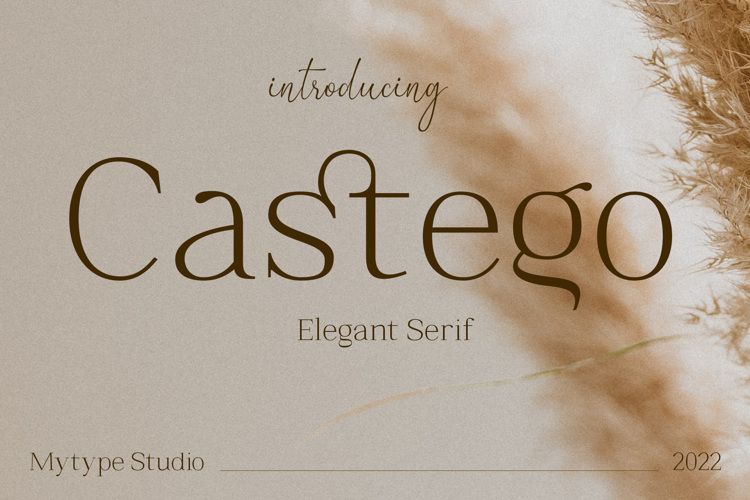 Castego Font
