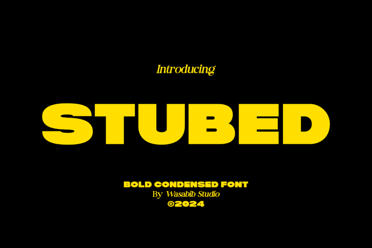 WS Stubed Font