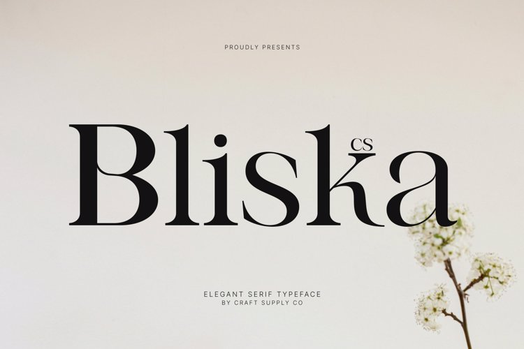 Preview of CS Bliska Font