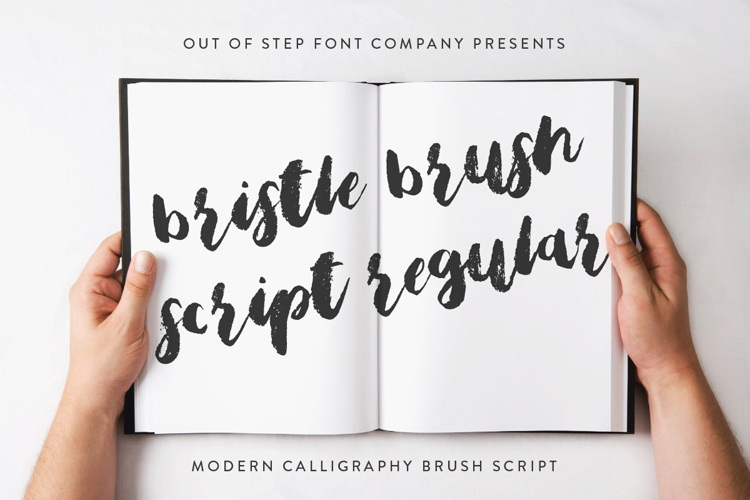 Bristle Brush Script Font