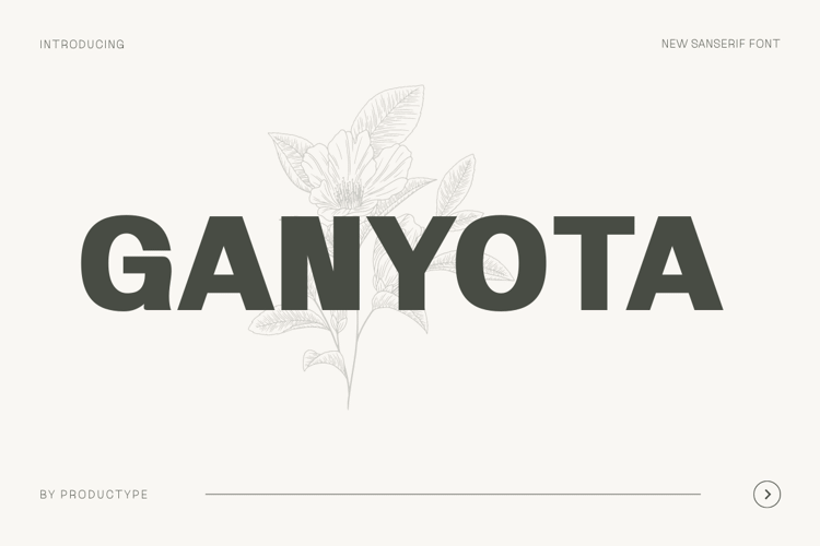 Ganyota Font