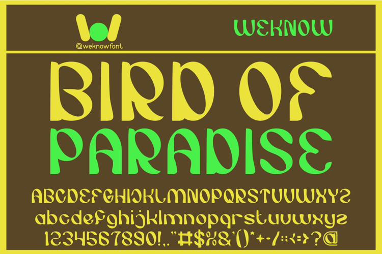 BIRD OF PARADISE Font