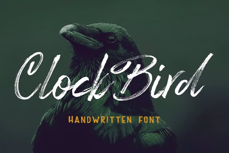 Clock Bird Brush Font