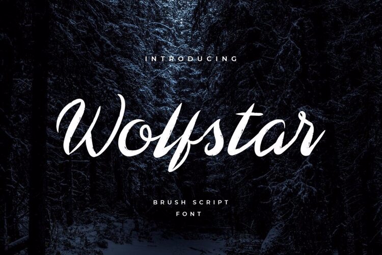 Preview of Wolfstar Fluid Art Font