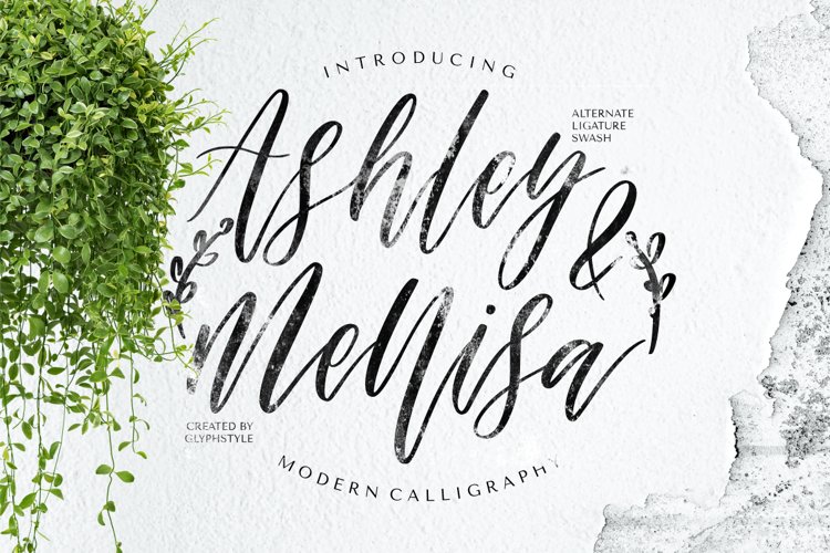 Ashley & Mellisa Font