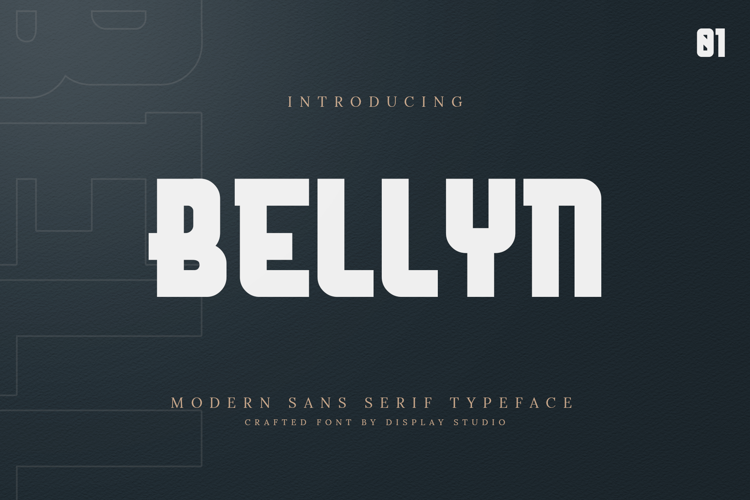 Bellyn Font
