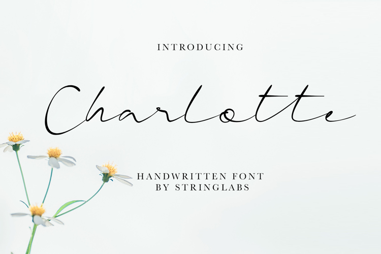 Charlotte Font