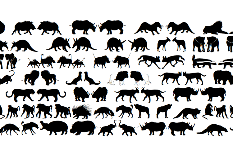 Afrika Wildlife B Mammals2 Font