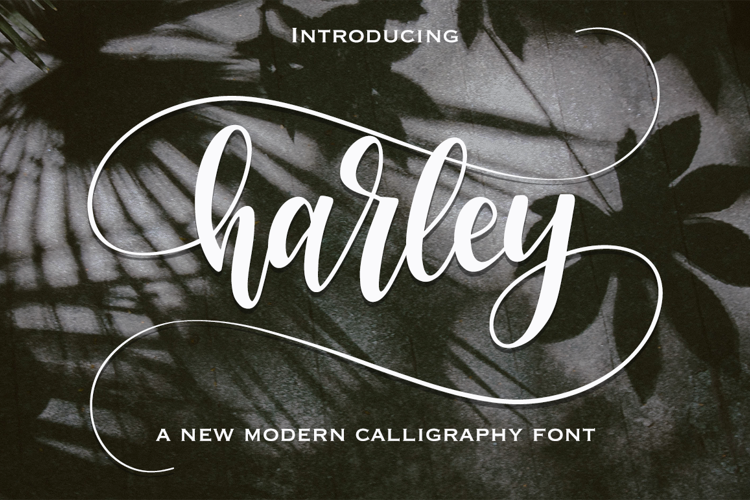 harley Font