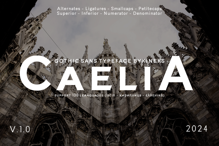 Caelia Font