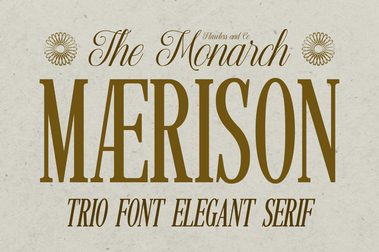 Preview of MAERISON SERIF Font