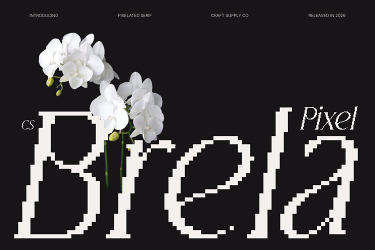Preview of CS Brela Pixel Font