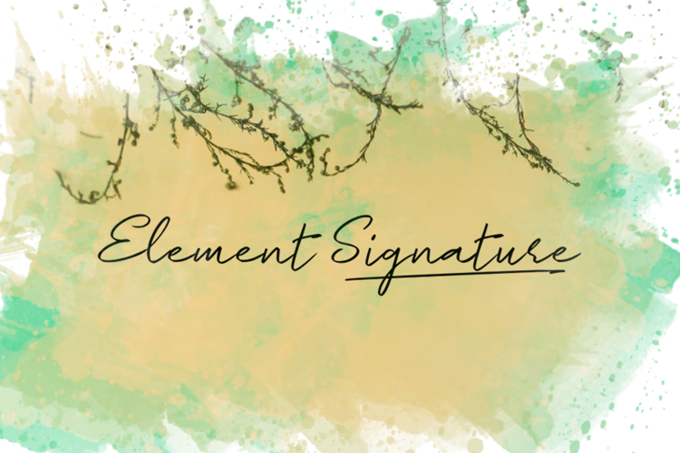 e Element Signature Font