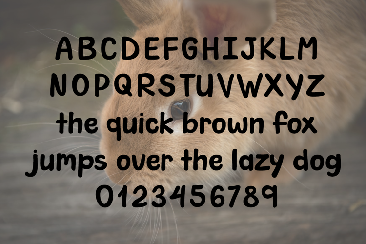 Chonky Bunny Font