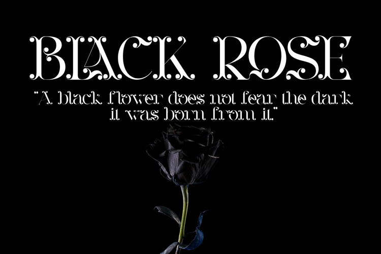 Preview of MEANING BECOMES Font