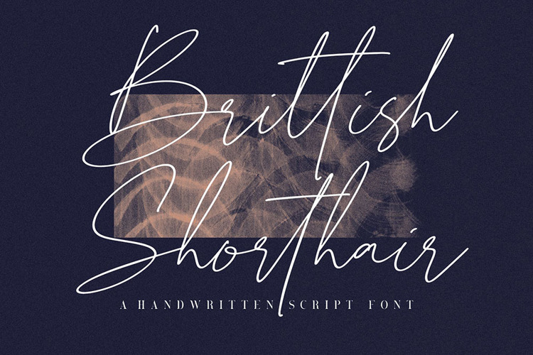 Brittish Shorthair Font