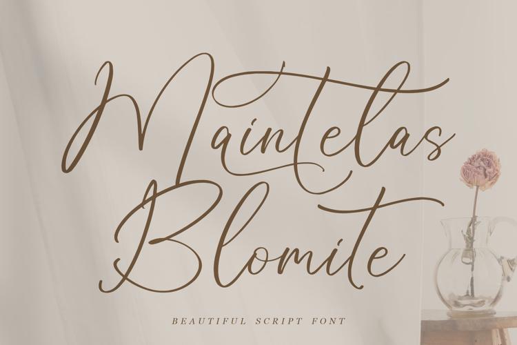 Maintelas Blomite Font