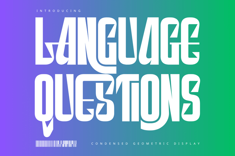 Preview of LANGUAGE QUESTIONS Font