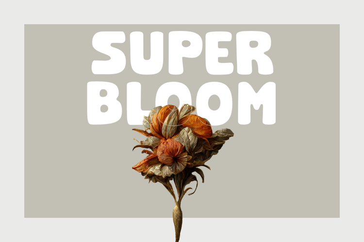 Super Bloom Font