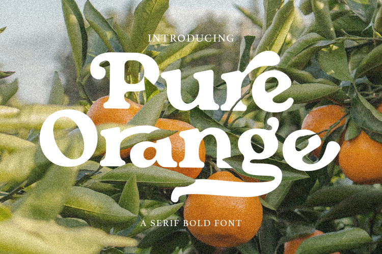Preview of Pure Orange Font