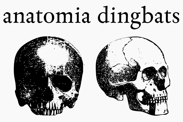 Anatomia Digbats Font