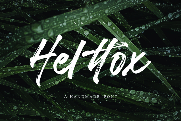 Helttox Brush Font