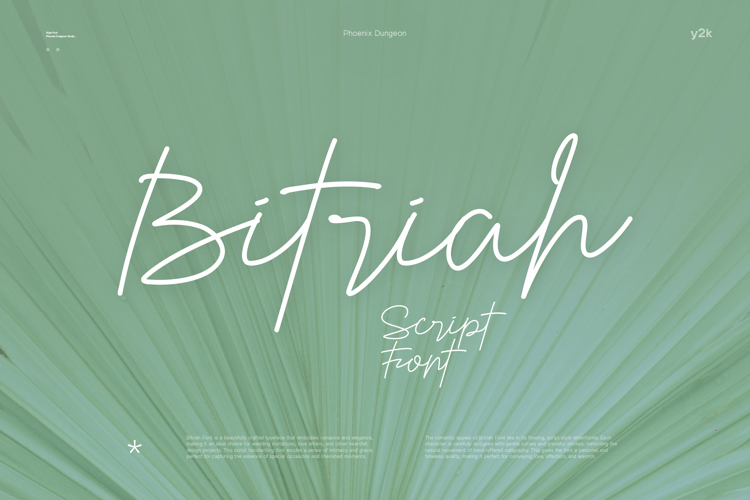 Bitriah Font