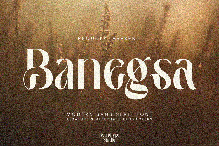 Banegsa Font