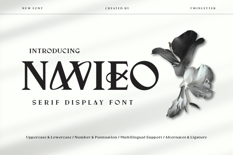 NAVIEO Trial Font