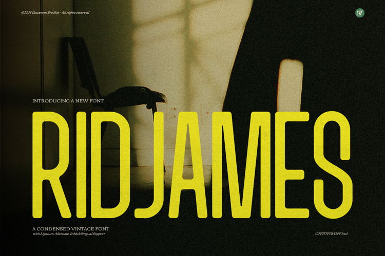 Preview of Ridjames Font