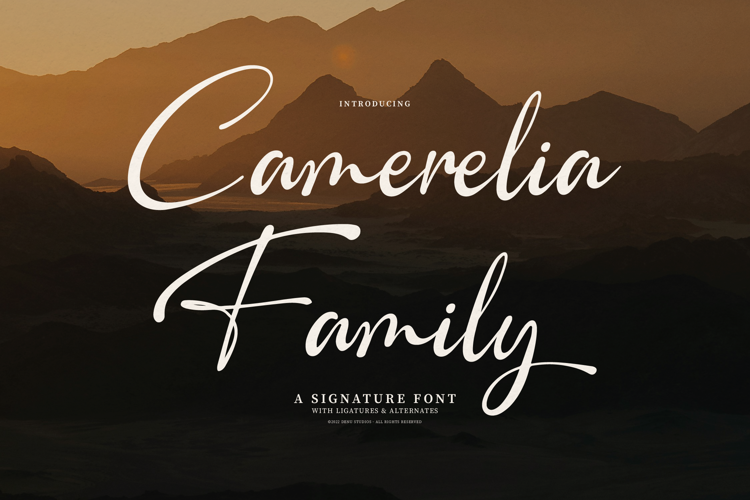 Camerelia Family Font