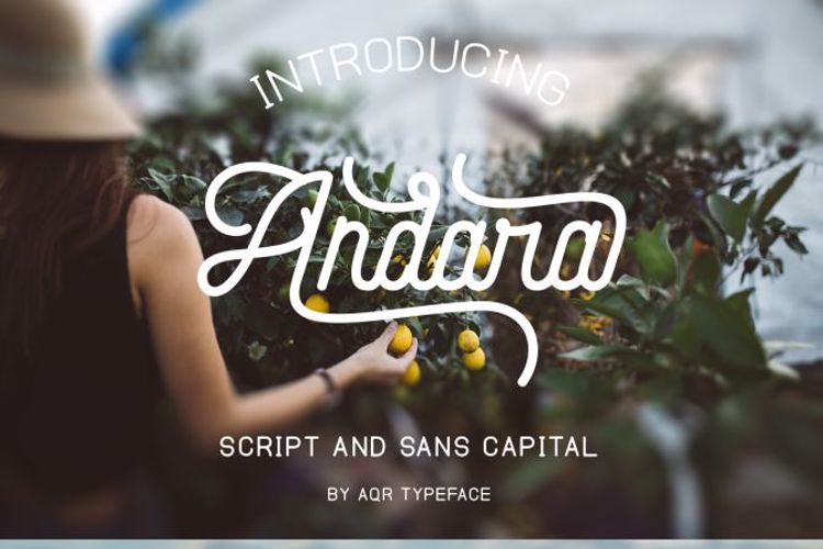 Andara Script Font