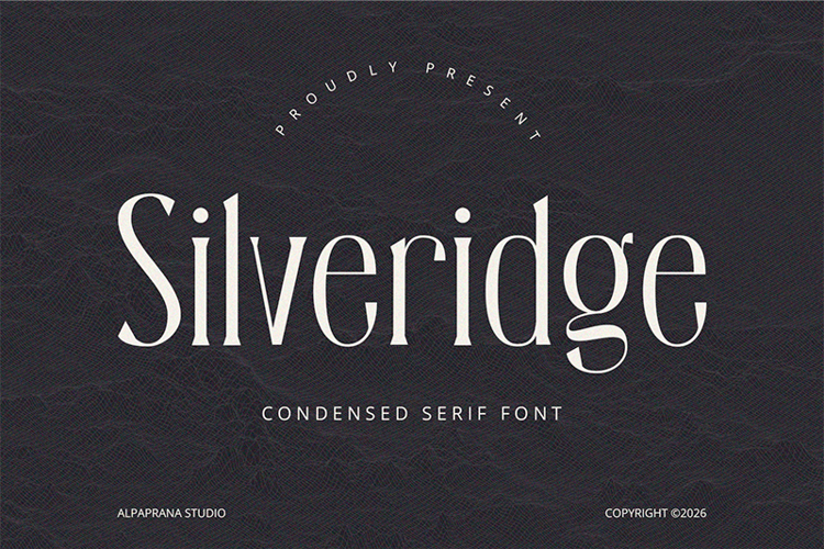 Preview of Silveridge Font