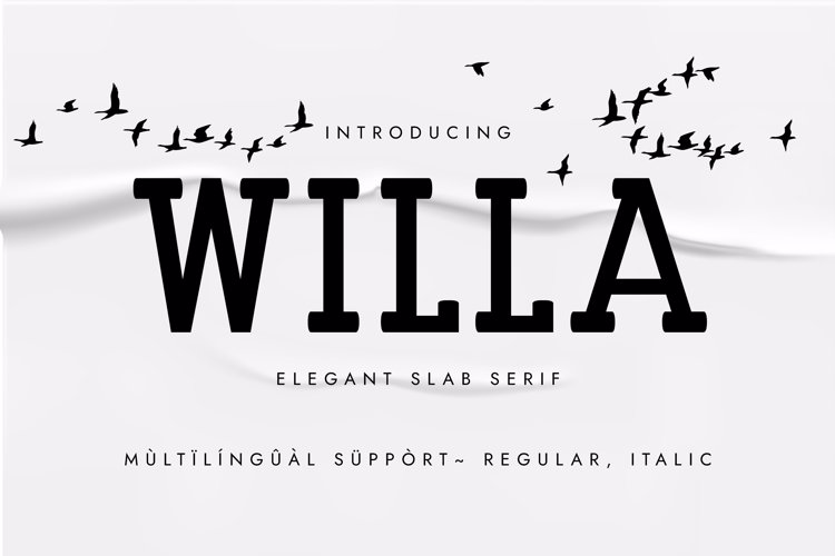 Preview of WILLA Font