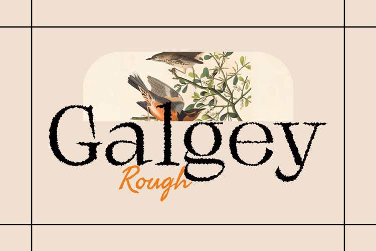Galgey Rough Font