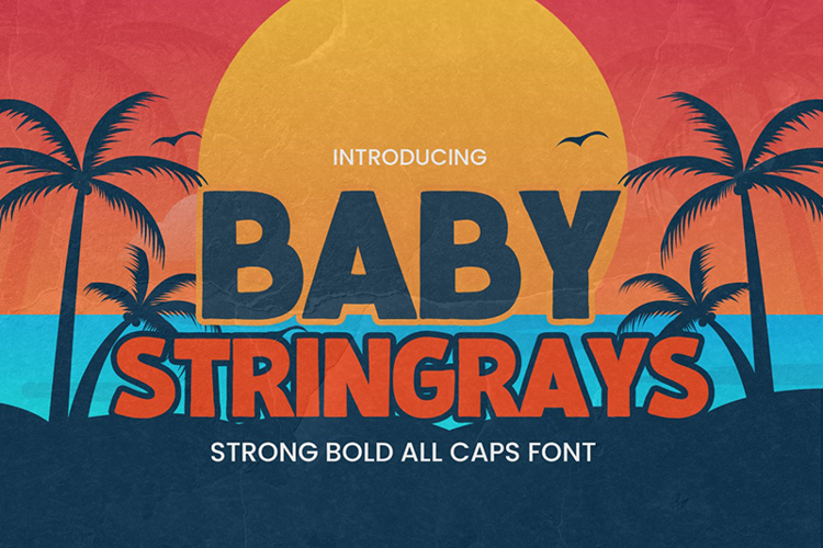 Baby Stingrays Font