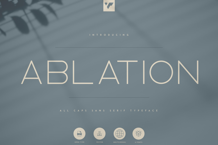 Ablation Font