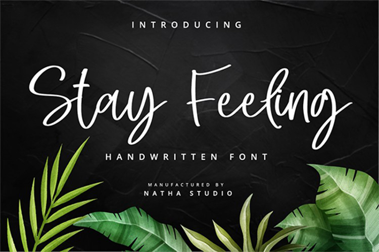 Preview of Stay Feeling Font