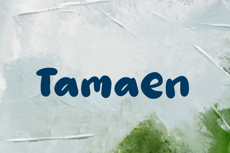 t Tamaen Font