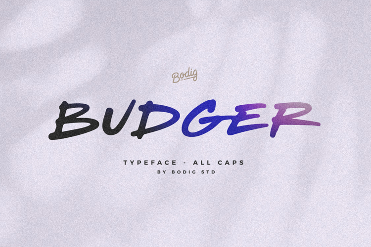 Preview of Budger Font