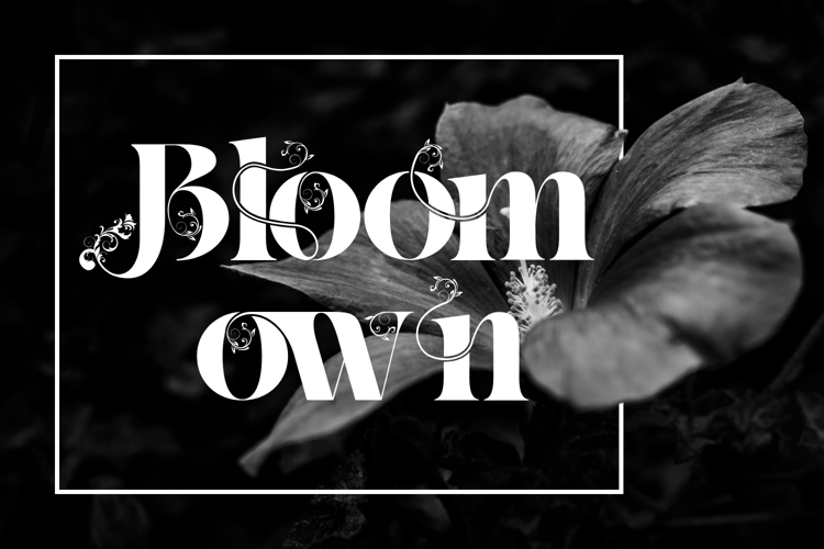 Preview of Classical Balance Font