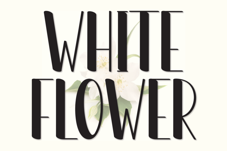 White Flower Font